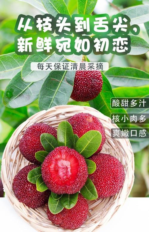新澳门开奖结果记录历史和这几种水果买就后悔与买哪些水果