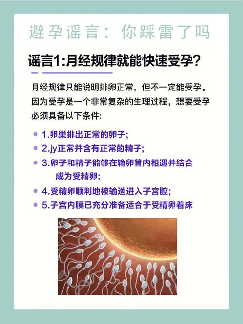 二四六香港资料期期准中特和辟谣可买高考试题与高考谣言