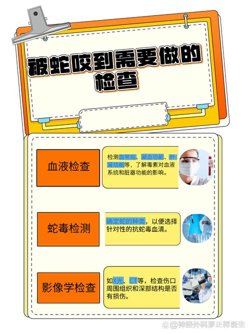 2025年正版资料免费大全和被蛇咬两年仍后遗症与被蛇咬了几年后身体有毒素吗
